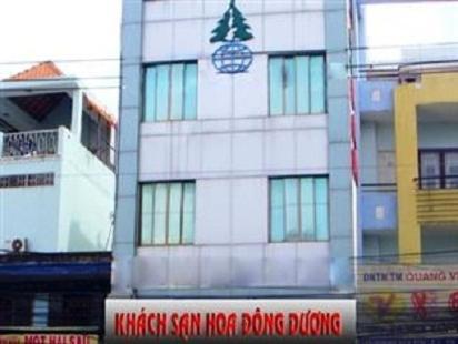 Hoa đông Dương Khách sạn TP. Hồ Chí Minh
